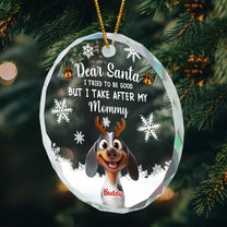 Dear Santa Christmas Pet - Personalized Glass Ornament