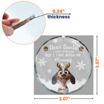 Dear Santa Christmas Pet - Personalized Glass Ornament