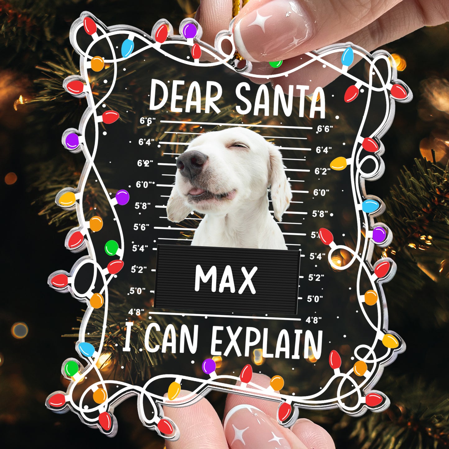 Dear Santa I Can Explain - Personalized Acrylic Photo Ornament