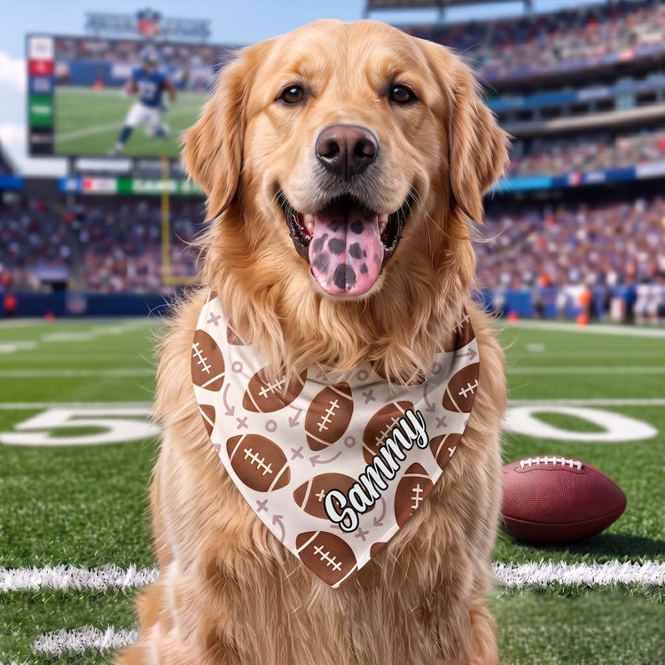 Dog-Bandana-Gift-For-Sport-Lover-Personalized-Bandana-Collar-1