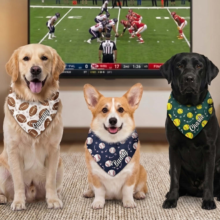 Dog-Bandana-Gift-For-Sport-Lover-Personalized-Bandana-Collar-2
