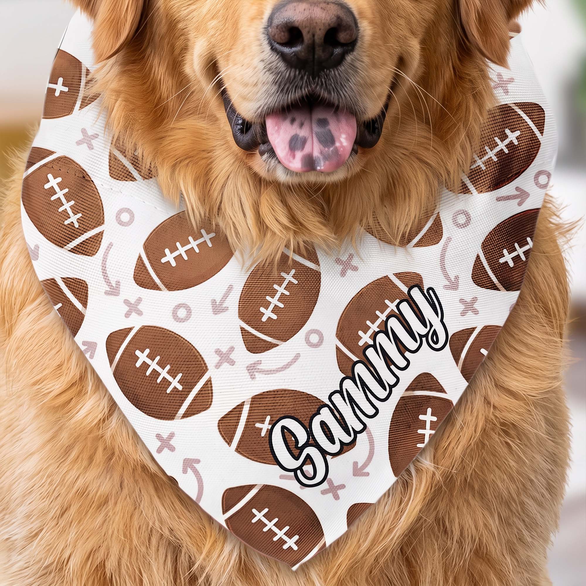 Dog-Bandana-Gift-For-Sport-Lover-Personalized-Bandana-Collar-3