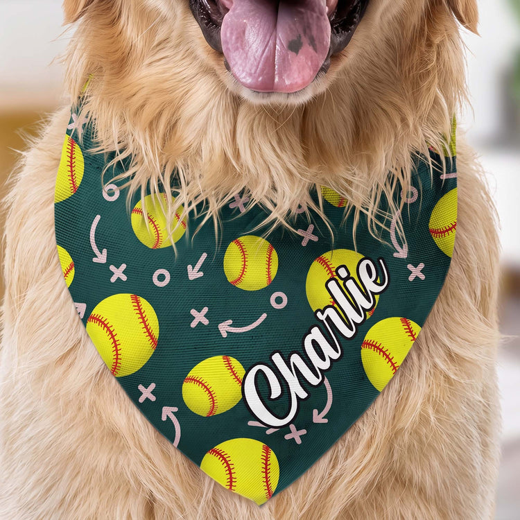 Dog-Bandana-Gift-For-Sport-Lover-Personalized-Bandana-Collar-5