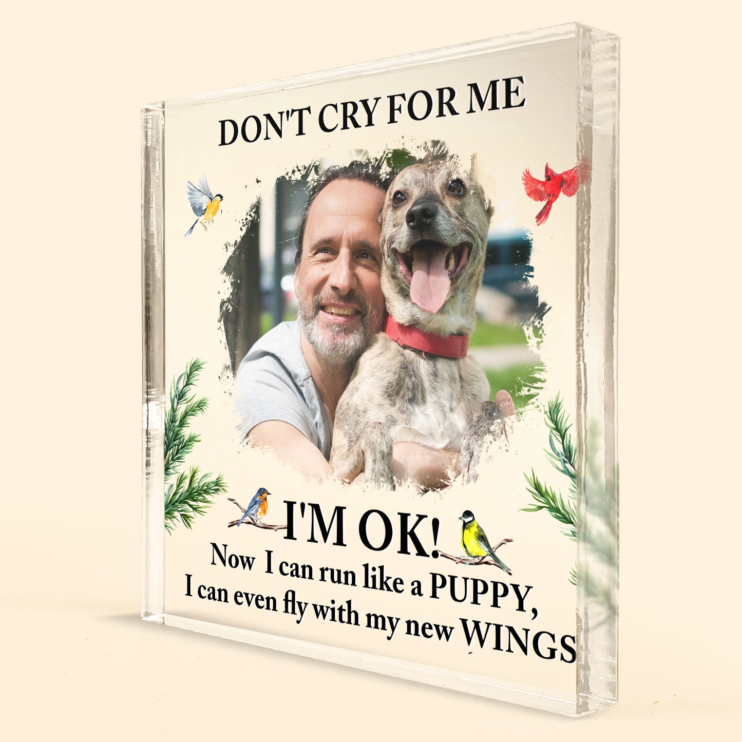 Don't Cry For Me - Personalized Acrylic Photo Plaque