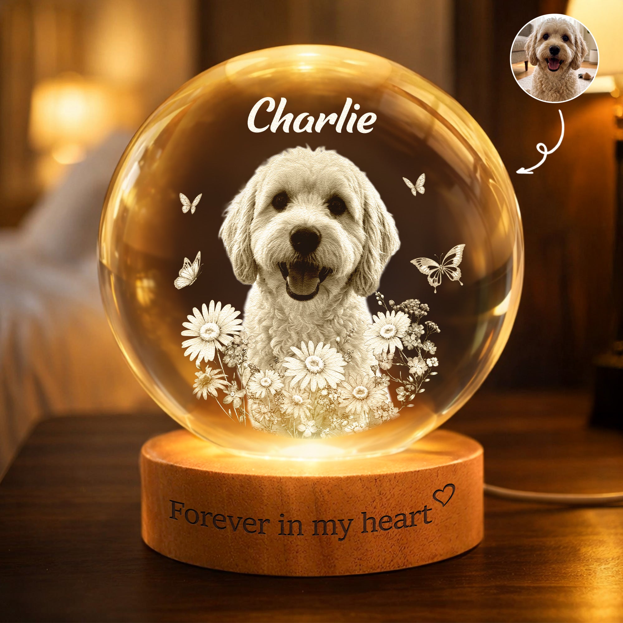 Forever-In-My-Heart-Crystal-Ball-Light-Pet-Loss-Gifts-Personalized-Night-Light