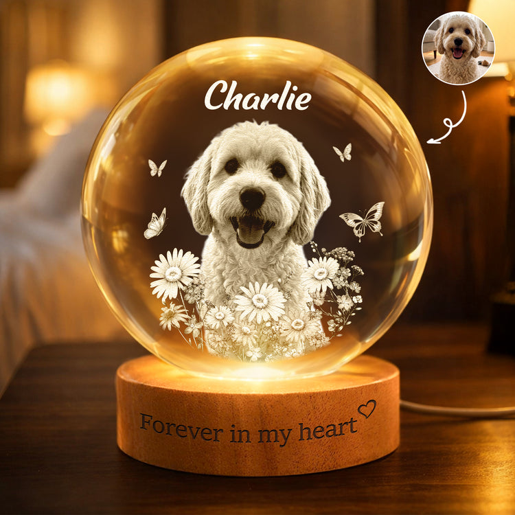Forever-In-My-Heart-Crystal-Ball-Light-Pet-Loss-Gifts-Personalized-Night-Light