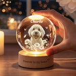 Forever-In-My-Heart-Crystal-Ball-Light-Pet-Loss-Gifts-Personalized-Night-Light