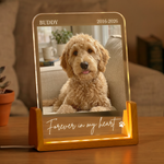 Forever-In-My-Heart-Custom-Photo-Pet-Loss-Gifts-Personalized-Night-Light-1