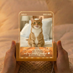 Forever-In-My-Heart-Custom-Photo-Pet-Loss-Gifts-Personalized-Night-Light-2