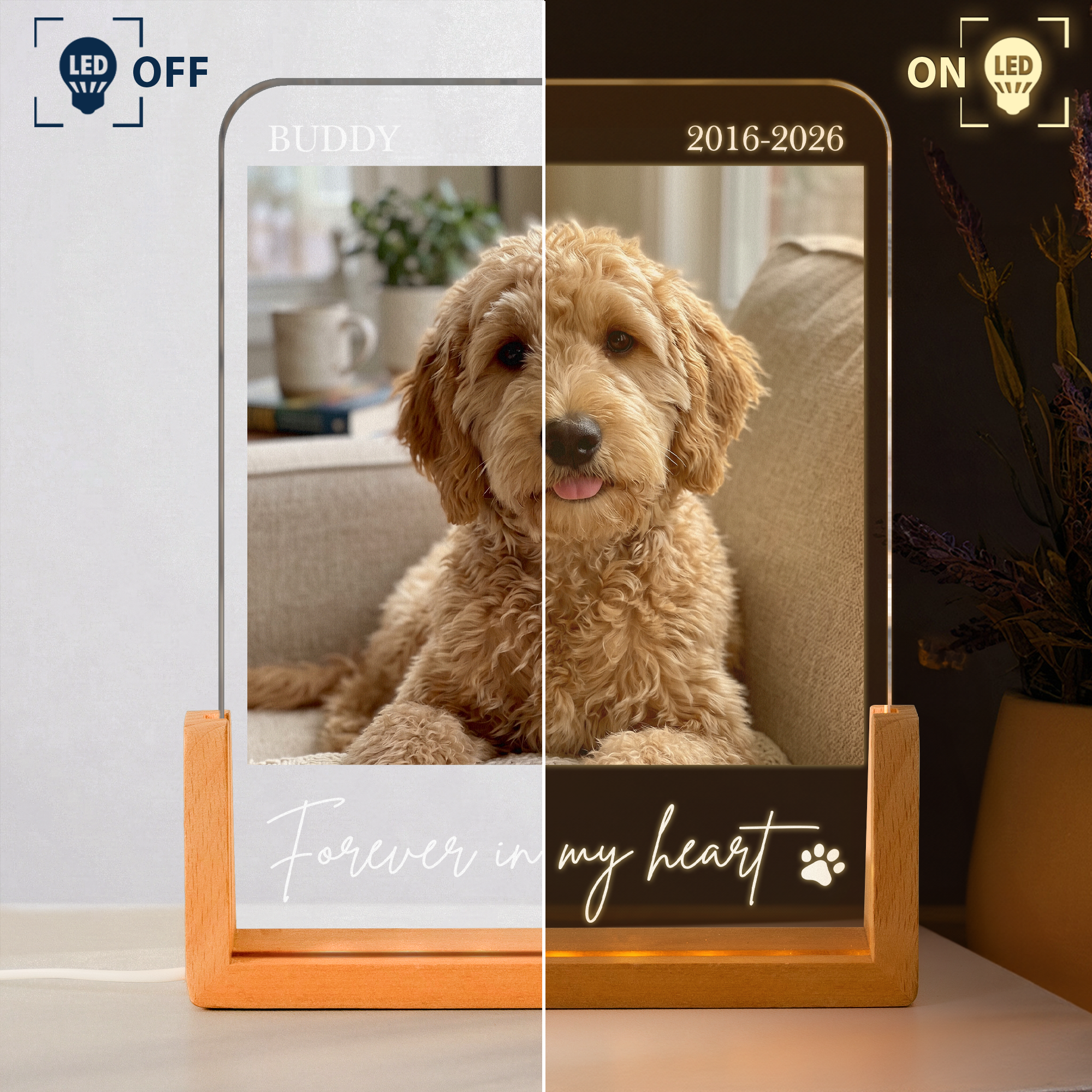 Forever-In-My-Heart-Custom-Photo-Pet-Loss-Gifts-Personalized-Night-Light-3