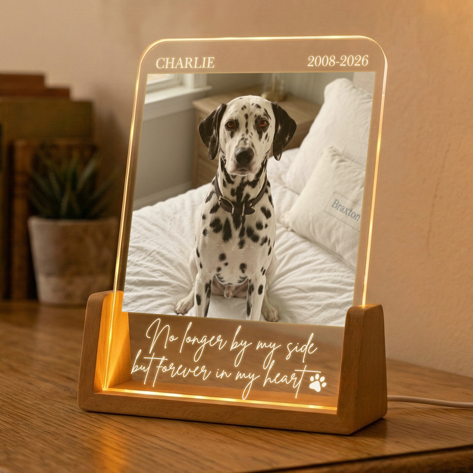 Forever-In-My-Heart-Custom-Photo-Pet-Loss-Gifts-Personalized-Night-Light-4