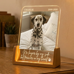 Forever-In-My-Heart-Custom-Photo-Pet-Loss-Gifts-Personalized-Night-Light-4