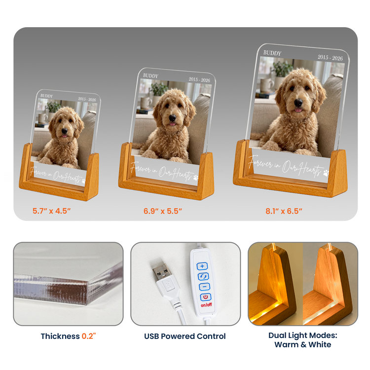Forever-In-My-Heart-Custom-Photo-Pet-Loss-Gifts-Personalized-Night-Light-5
