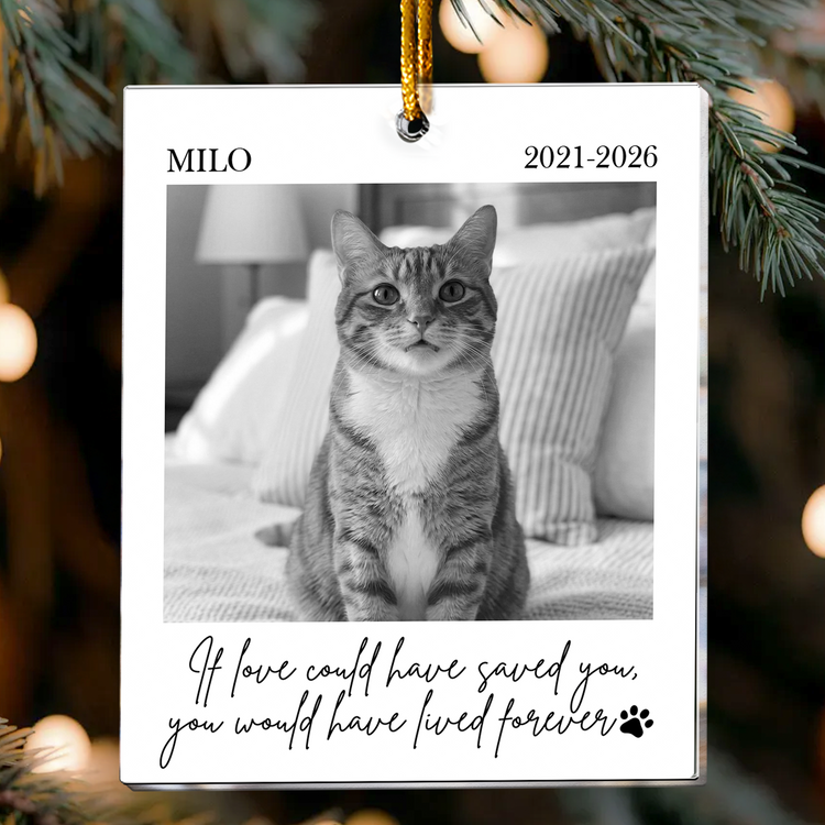 Forever-In-Our-Hearts-Custom-Photo-Pet-Loss-Christmas-Gifts-Personalized-Ornament-4