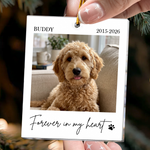 Forever-In-Our-Hearts-Custom-Photo-Pet-Loss-Christmas-Gifts-Personalized-Ornament-5