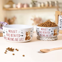 Funny Cat Food Bowl, Has Been Fed Her/His Meows Are Lies - Personalized Ceramic Bowl