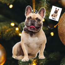 French Bulldog Ornament - Frenchie Ornament - Personalized Acrylic Photo Ornament