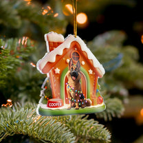 Funny Christmas Pet - Personalized Acrylic Ornament