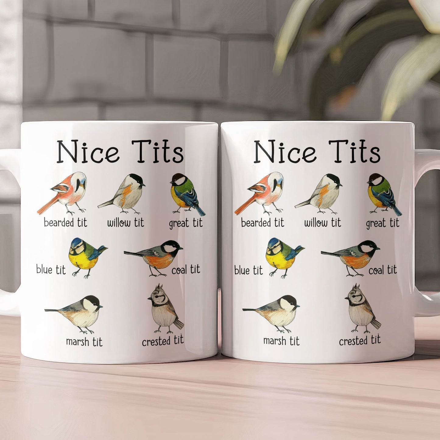 Funny Mug - Nice Tits - Bird Watcher Sarcastic, Funny Gag Gifts - Mug