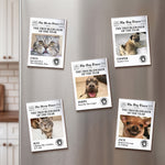 Funny-Pet-The-Trouble-Maker-Of-The-Year,-For-Dog-Lovers,-Cat-Lovers-Personalized-Magnet-1