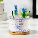 God Says I Am Name In Bible Verse - Personalized Plant Pot With Glass Succulents
