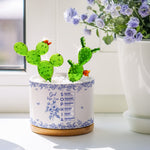 God Says I Am Name In Bible Verse - Personalized Plant Pot With Glass Succulents