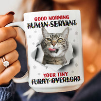 Good Morning Human Funny Style Christmas - Personalized Photo Mug