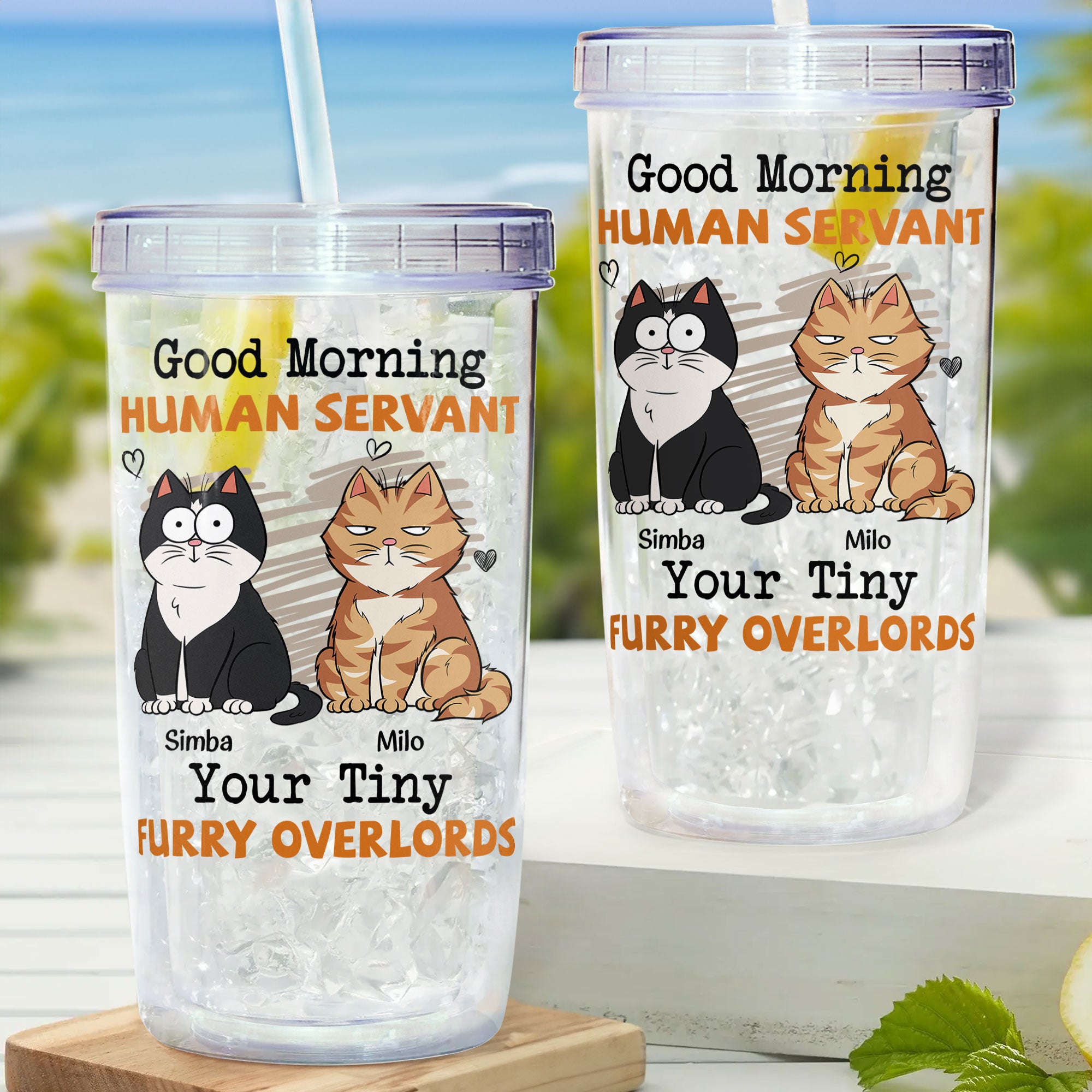 Good Morning Human Servant 2 - Personalized Acrylic Tumbler With Straw