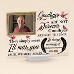 Goodbyes Are Not Forever - Personalized Acrylic Photo Plaque