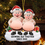 Growing-Old-Together-Couples-Funny-Belly-3D-Squishy-Personalized-Ornament-1