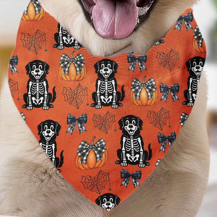 Halloween-Pet-Pumpkins-Spiderwebs-Coquette-Bows-Pattern-Personalized-Bandana-Collar-1