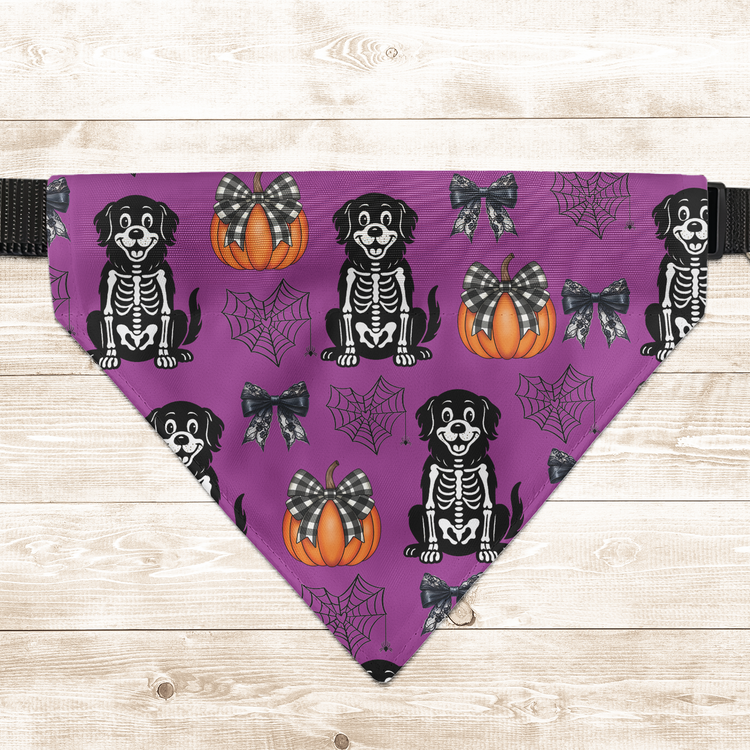 Halloween-Pet-Pumpkins-Spiderwebs-Coquette-Bows-Pattern-Personalized-Bandana-Collar-2
