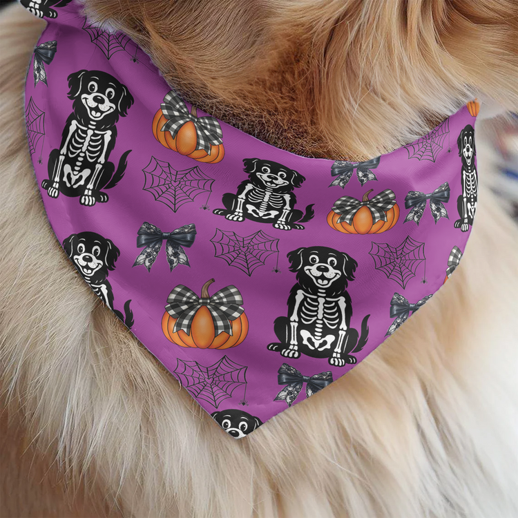 Halloween-Pet-Pumpkins-Spiderwebs-Coquette-Bows-Pattern-Personalized-Bandana-Collar-3