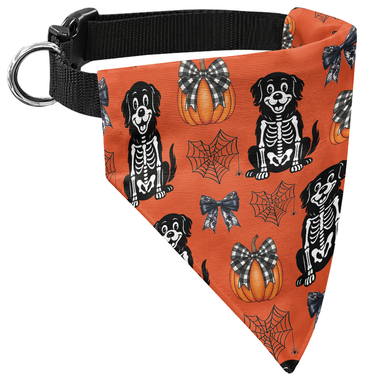 Halloween-Pet-Pumpkins-Spiderwebs-Coquette-Bows-Pattern-Personalized-Bandana-Collar-6