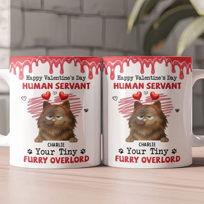 Happy Valentine's Day Human Servant - Personalized Mug