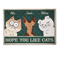 Hope You Like Cats Vintage Style - Personalized Doormat