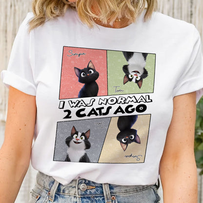 I Was Normal 3 Cats Ago - Personalized Shirt