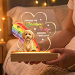 I-Crossed-The-Rainbow-Bridge-Custom-Photo-Pet-Loss-Watercolor-Art-Personalized-Night-Light-2