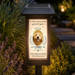 If-Love-Could-Have-Saved-You-Pet-Memorial-Gift-Personalized-Solar-Garden-Light-1