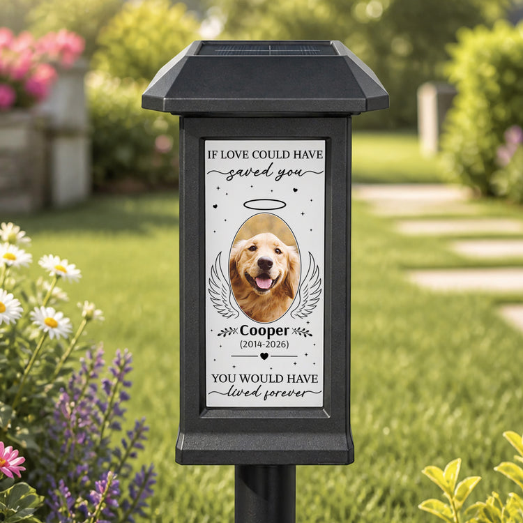 If-Love-Could-Have-Saved-You-Pet-Memorial-Gift-Personalized-Solar-Garden-Light-2