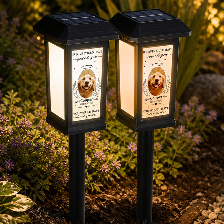 If-Love-Could-Have-Saved-You-Pet-Memorial-Gift-Personalized-Solar-Garden-Light-4