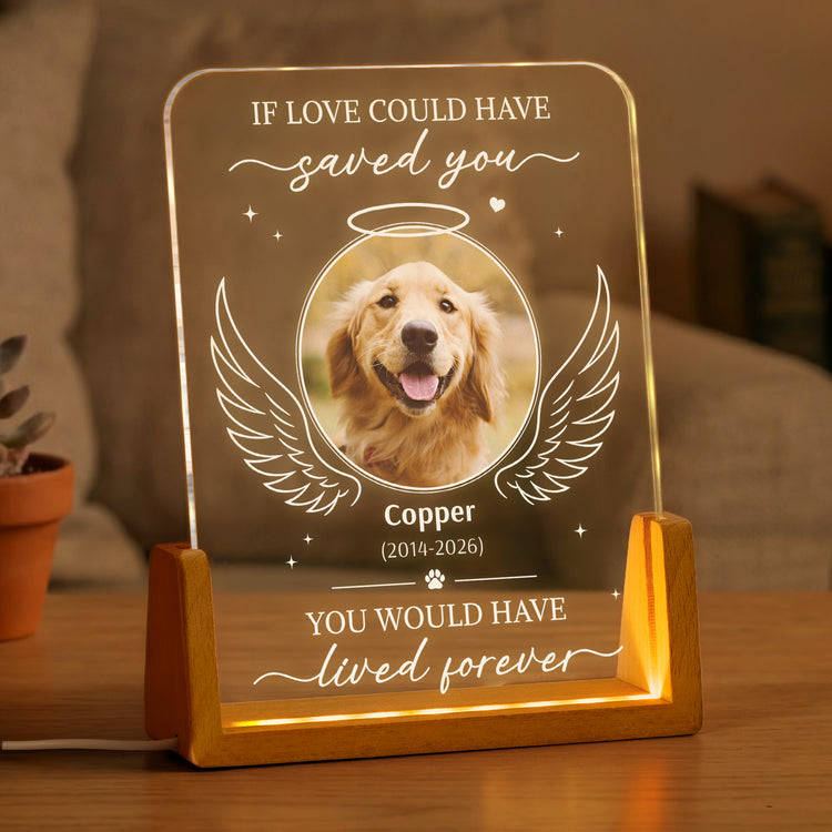If-Love-Could-Have-Saved-You-Pet-Memorial-Sympathy-Gift-Personalized-Night-Light-1