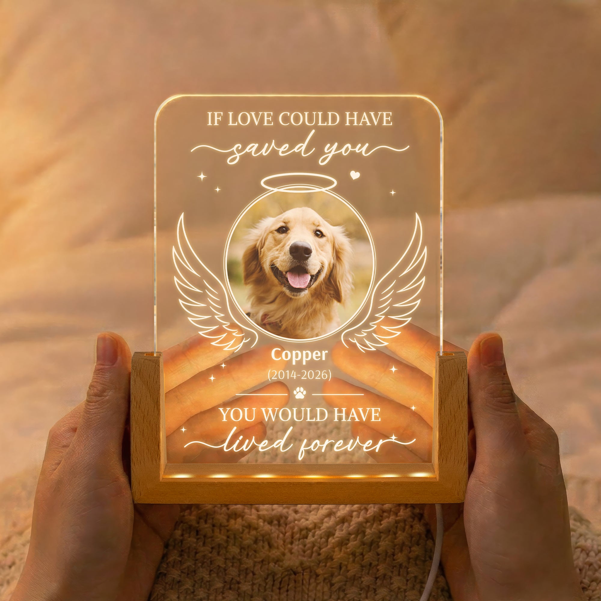 If-Love-Could-Have-Saved-You-Pet-Memorial-Sympathy-Gift-Personalized-Night-Light-2