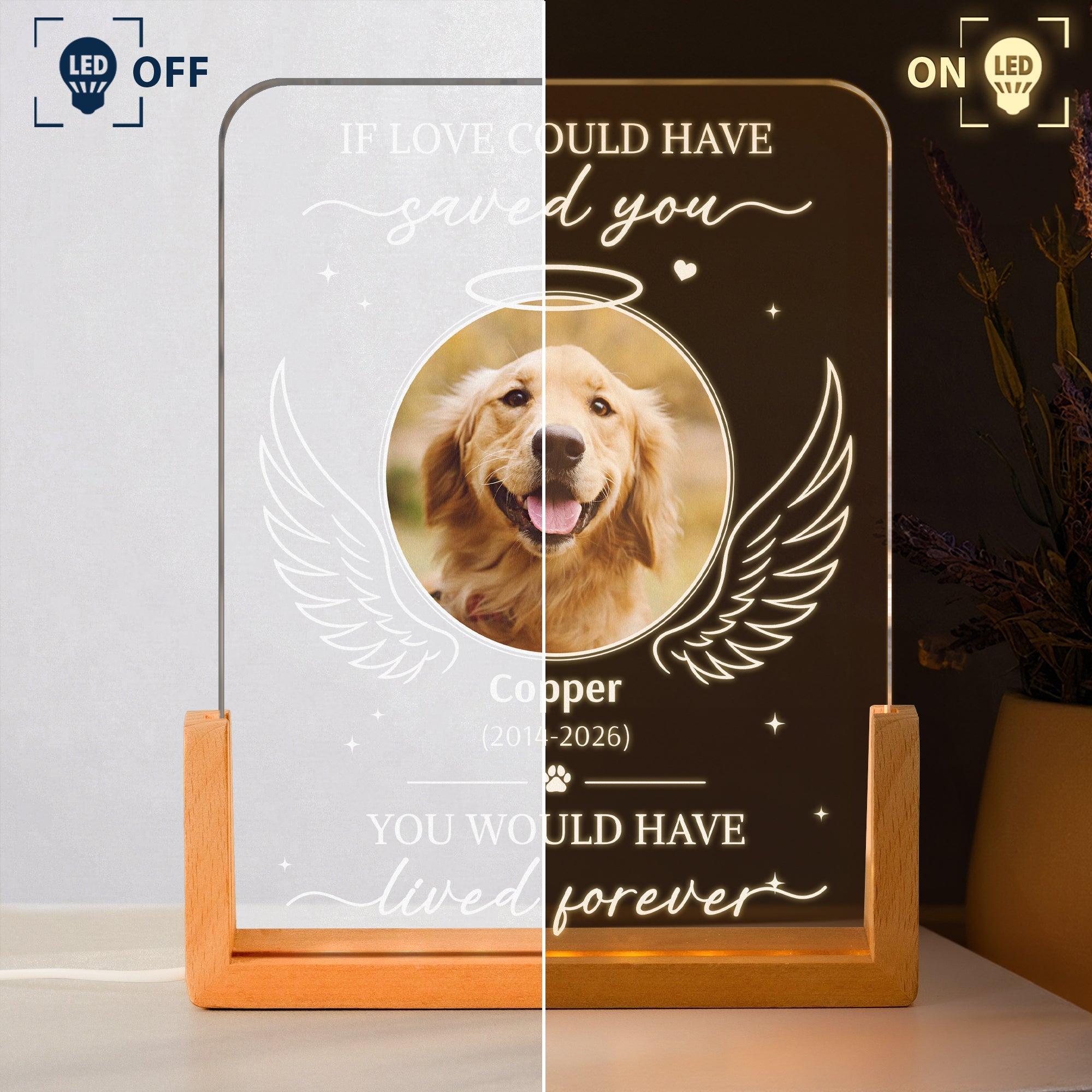 If-Love-Could-Have-Saved-You-Pet-Memorial-Sympathy-Gift-Personalized-Night-Light-3