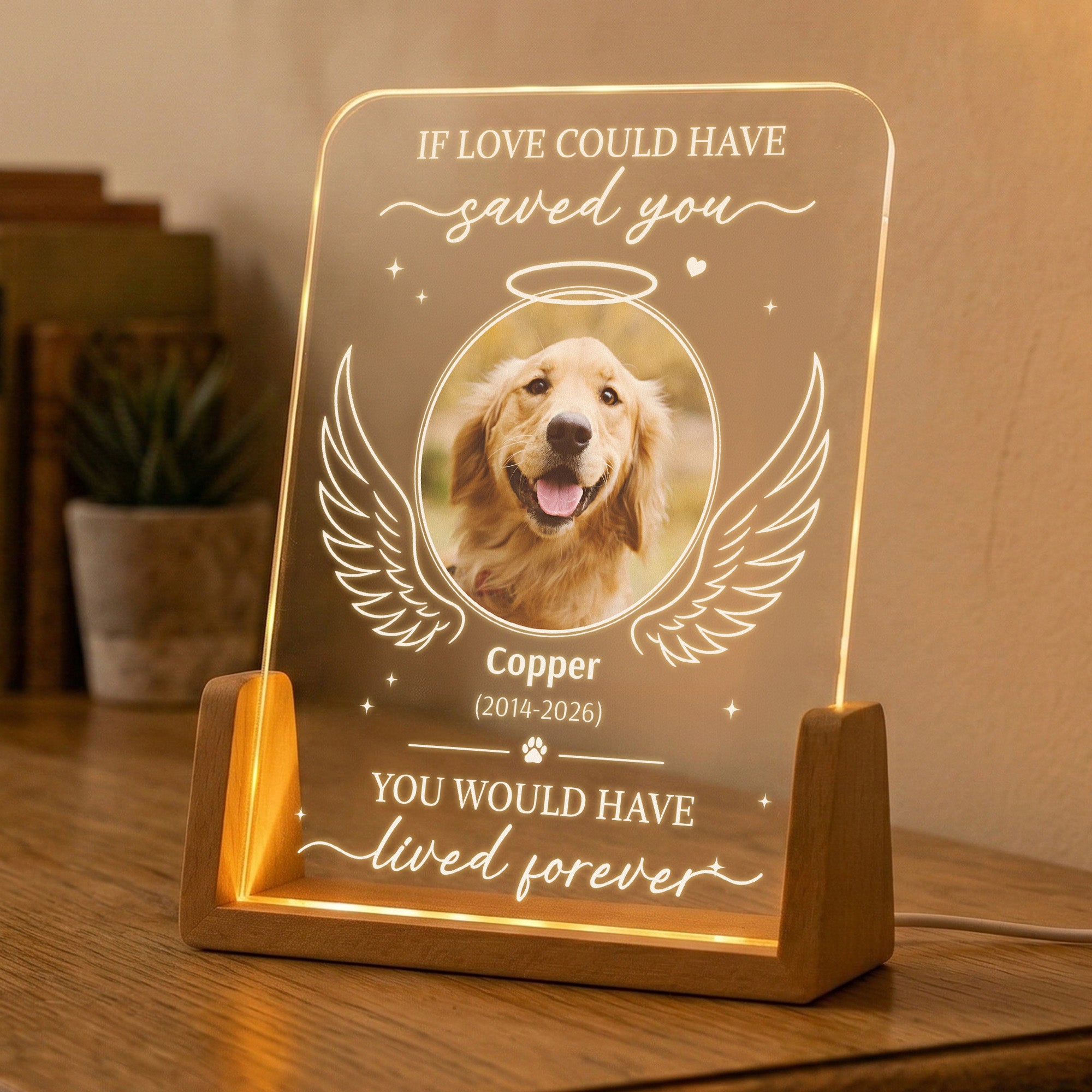 If-Love-Could-Have-Saved-You-Pet-Memorial-Sympathy-Gift-Personalized-Night-Light-4
