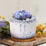 It Takes A Long Time To Grow Old Friends - Toile De Jouy Custom Birth Flower - Personalized Ceramic Plant Pot With Tray - Gift For Friend