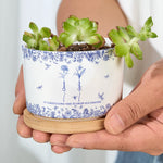 It Takes A Long Time To Grow Old Friends - Toile De Jouy Custom Birth Flower - Personalized Ceramic Plant Pot With Tray - Gift For Friend