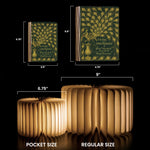 Jane Austen Old Book Cover - Personalized Book Lamp