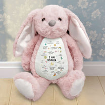 Kid-Affirmation--Personalized-Bunny-Plush-2