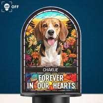 Loss-Of-Pet-Forever-In-Our-Hearts-Personalized-Solar-Light-4